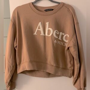 Abercrombie & Fitch Crop Sweatshirt